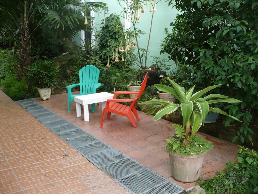 Dos Palmitos Bed And Breakfast Panama Dış mekan fotoğraf